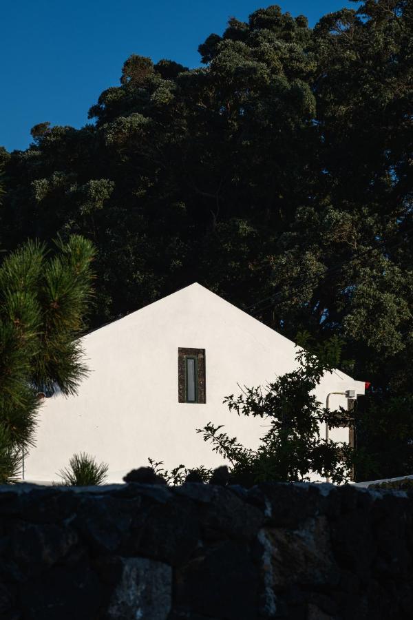 Entre Muros - Turismo Rural - Casa Com Jardim E Acesso Direto Ao Mar ฮิเบย์รา กรันเจ ภายนอก รูปภาพ